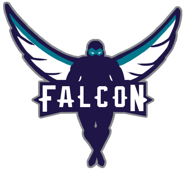Charlotte Hornets Falcon logo iron on heat transfer